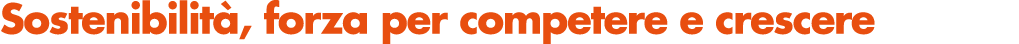Sostenibilit , forza per competere e crescere